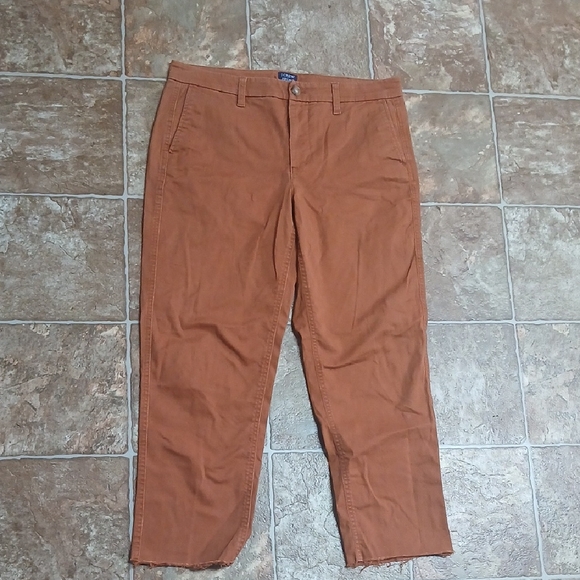 J. Crew Pants - GUC J.Crew High Rise Girlfriend Frayed Ankle Chino Size 8